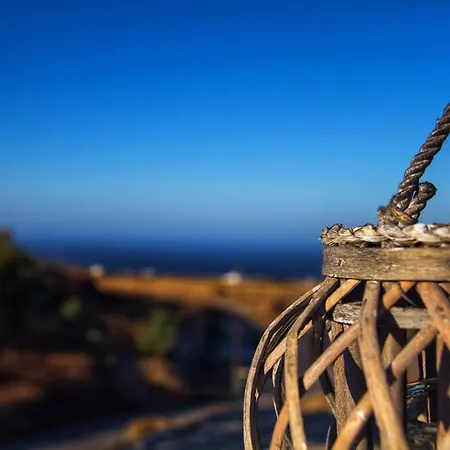 아파트호텔 White Element 4*